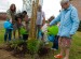 Residents planting a tree in Ellesmere Port