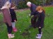 Stoneycroft pupils dig in to plant school woodland 1