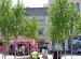 Williamson Square with the pop up forest