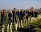 Volunteers at Dunham Massey NT on planting day