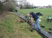 Planting soft fruit verge_Thackeray Park_Sept22