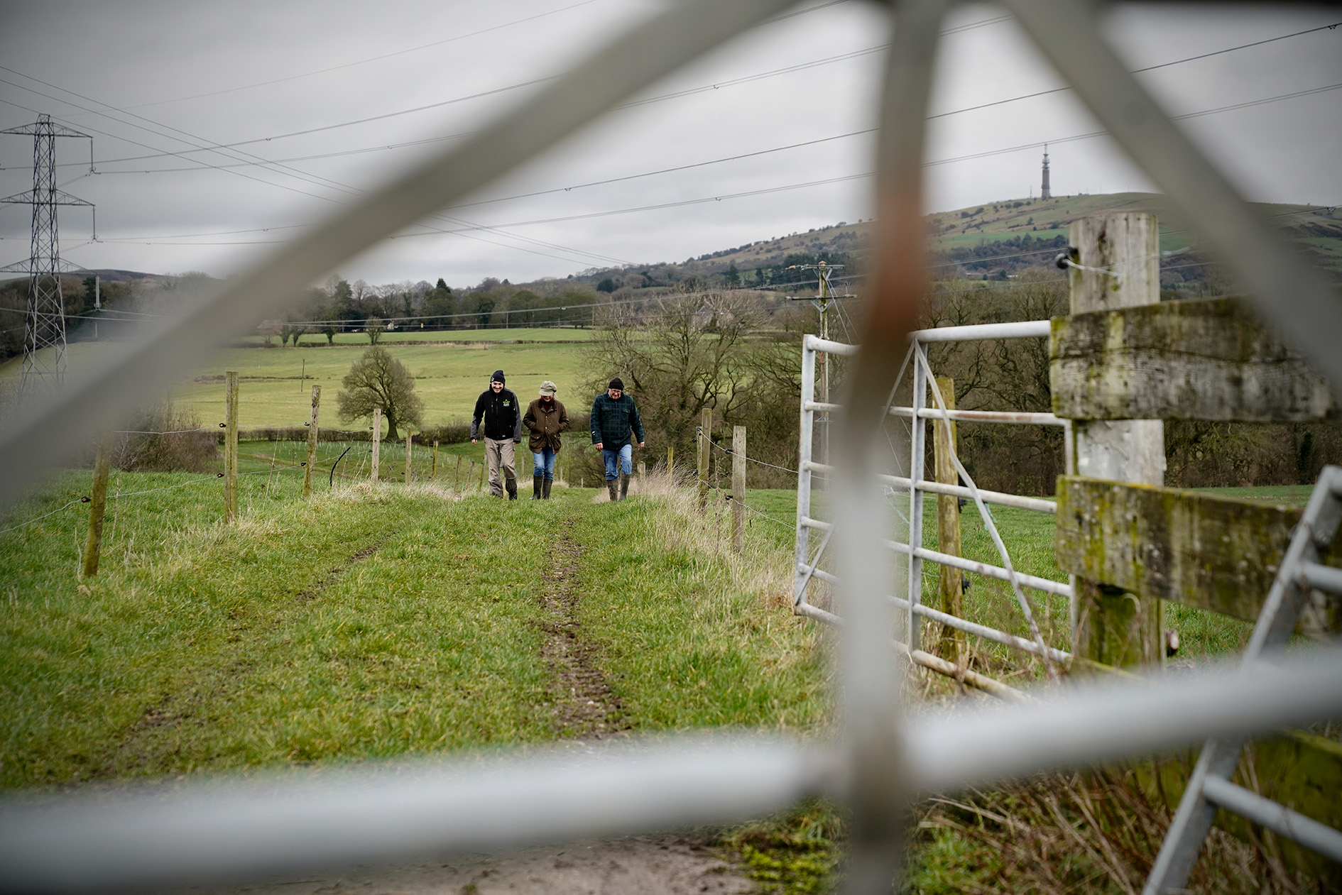 Cheshire Farmer Plants New Woodland And Dynamic Hedge News The   Njp05454 