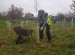 A volunteer mulching a tree at Jubilee Field, Huntington