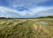 Clay core bund and trees planted last winter at Fir Tree Farm, Billinge