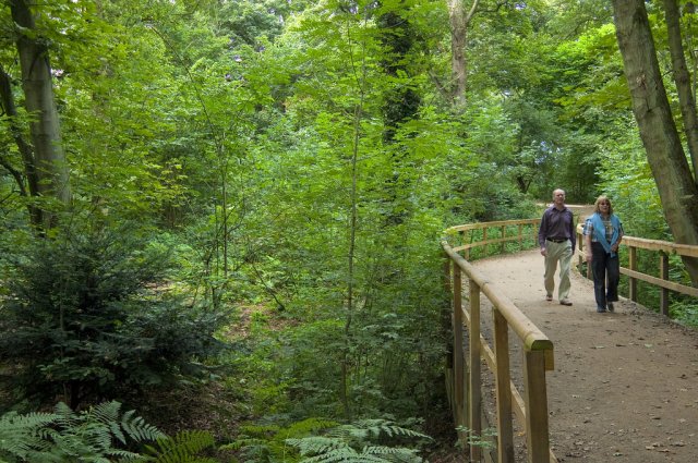 a couple walking in northwich woodlands