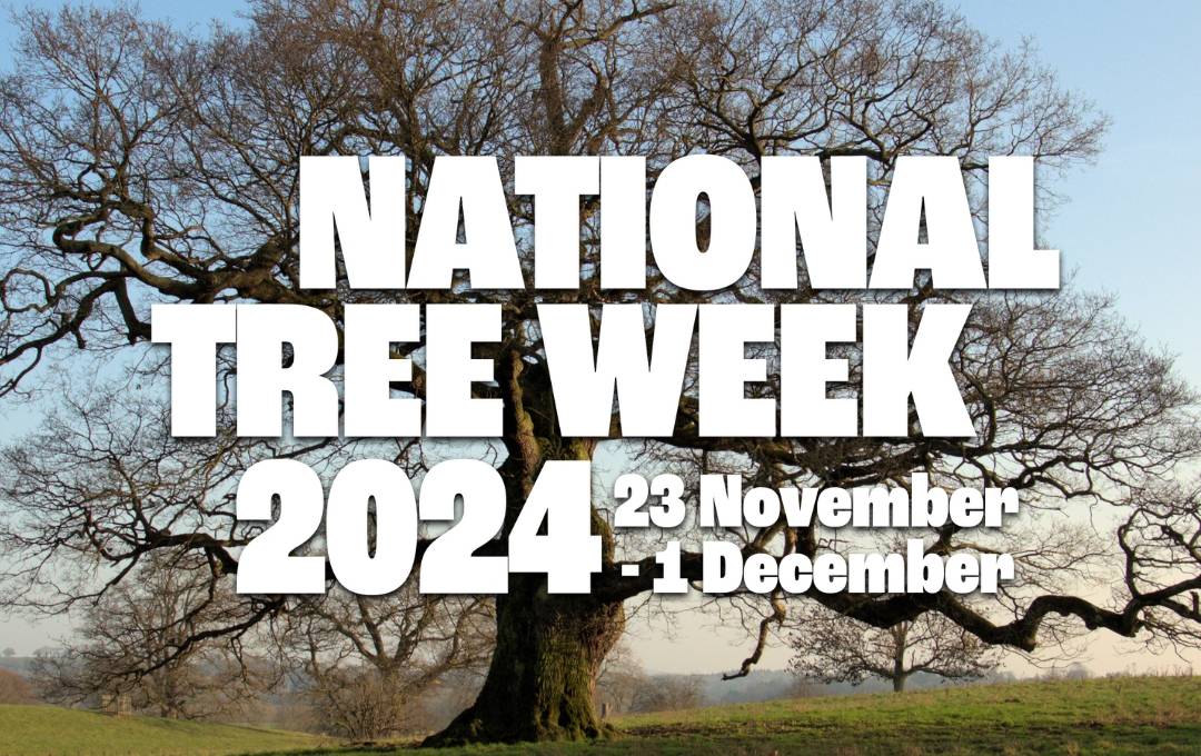 National Tree Week 2024