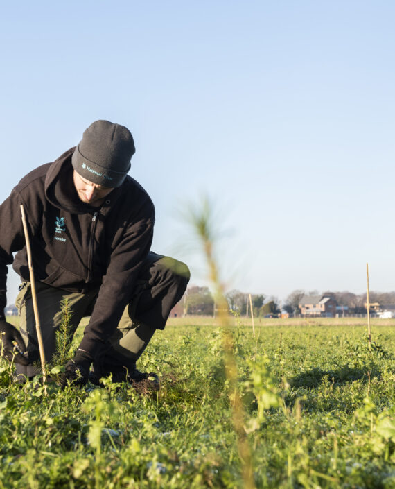 Planting a mix of deciduous and evergreen trees as part of a Trees for Climate programme in partnership with England's Community Forests