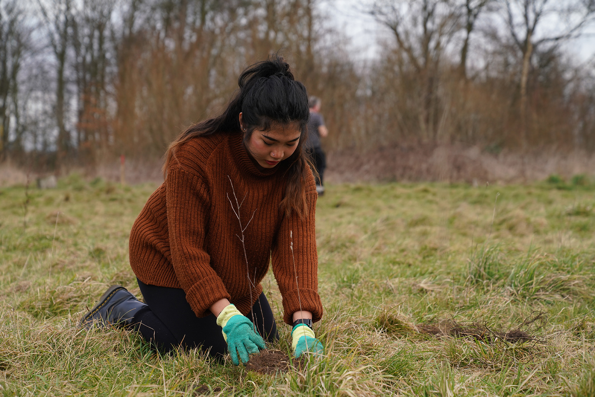 Person planting a tree