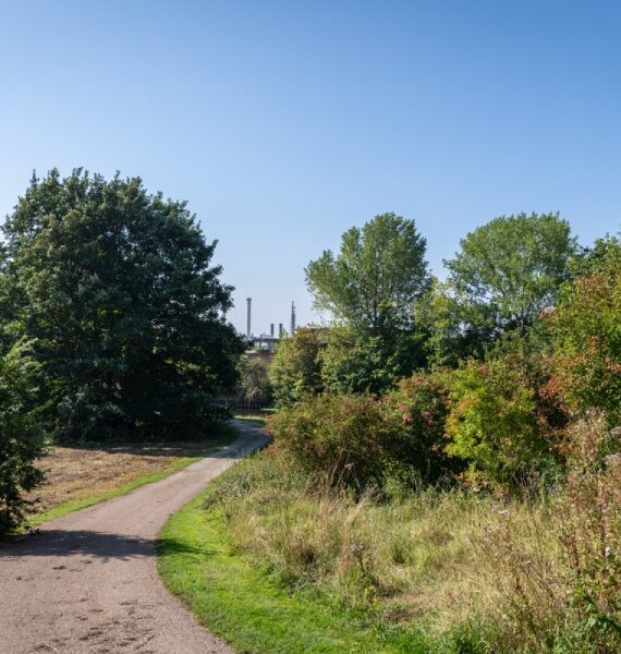 Anderton Nature Park September 2024