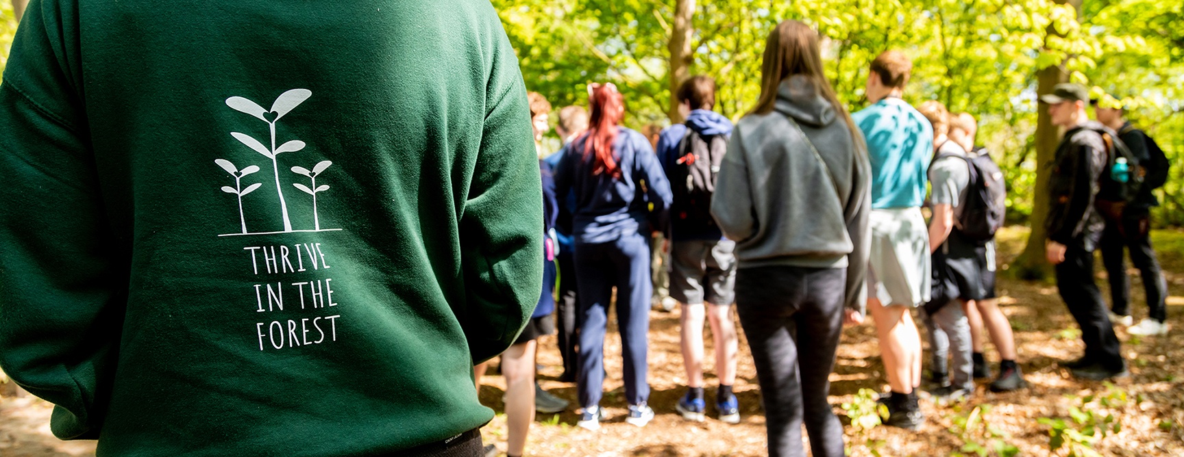 People standing amongst woodland with their backs to the camera